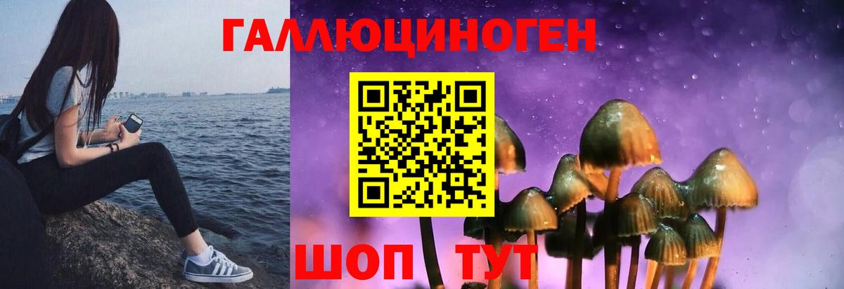 Великий Устюг  Галлюциногенные грибы ЛСД  Вход с VPN 