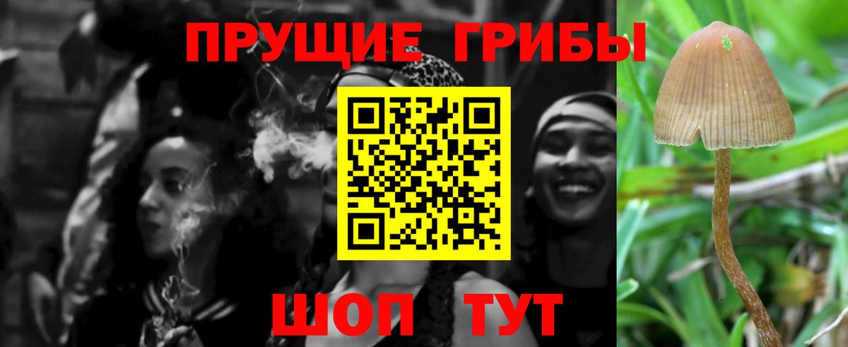 Галлюциногенные грибы Cubensis Великий Устюг
